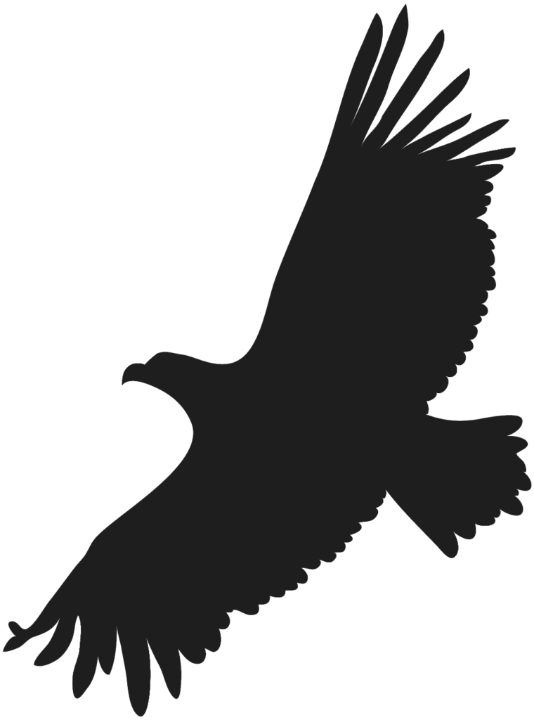 ftestickers bird eagle hawk silhouette