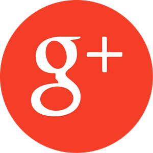 Google Icon Logo Vector AI Free Download