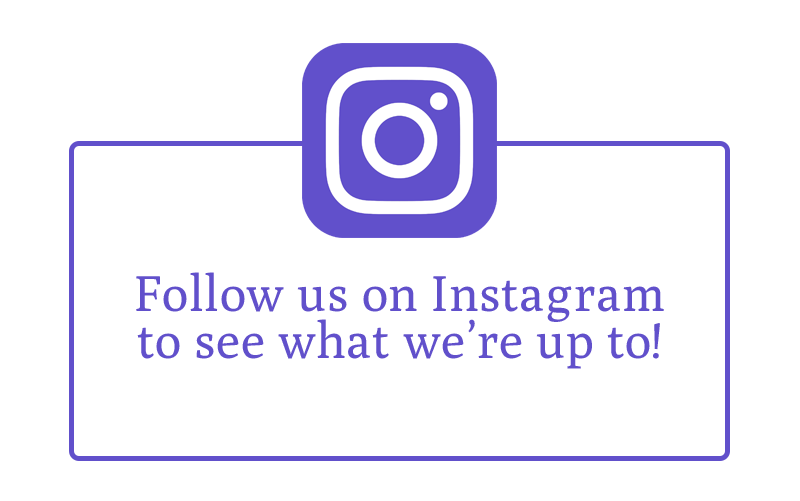 Transparent Instagram Follow Button  How Many Followers