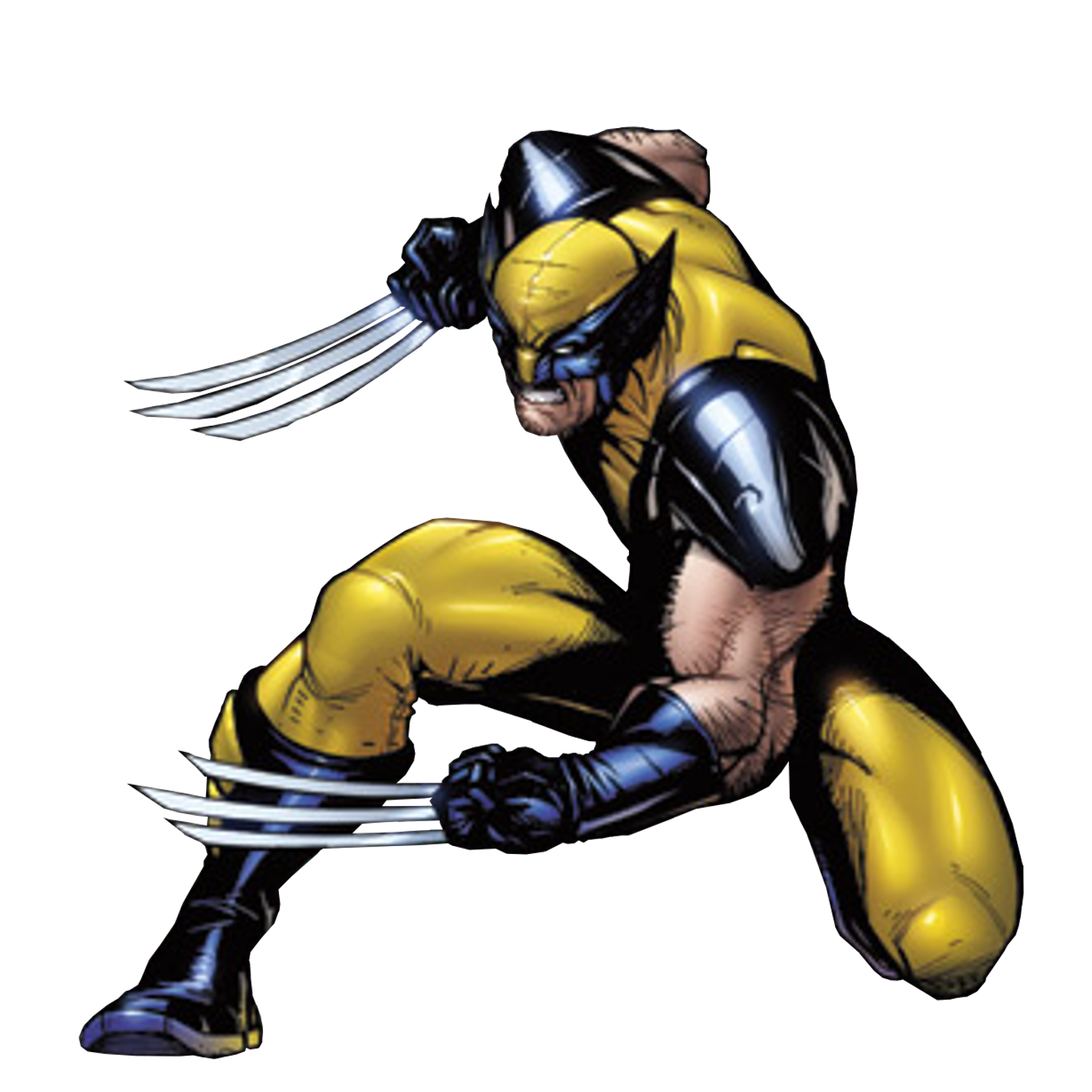 Wolverine Marvel Comics  VsDebating Wiki  FANDOM