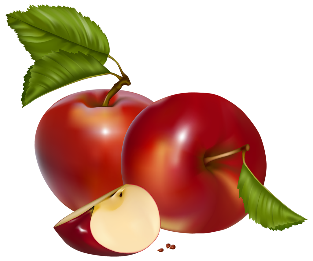 Rose Apple Clipart  Free download on ClipArtMag