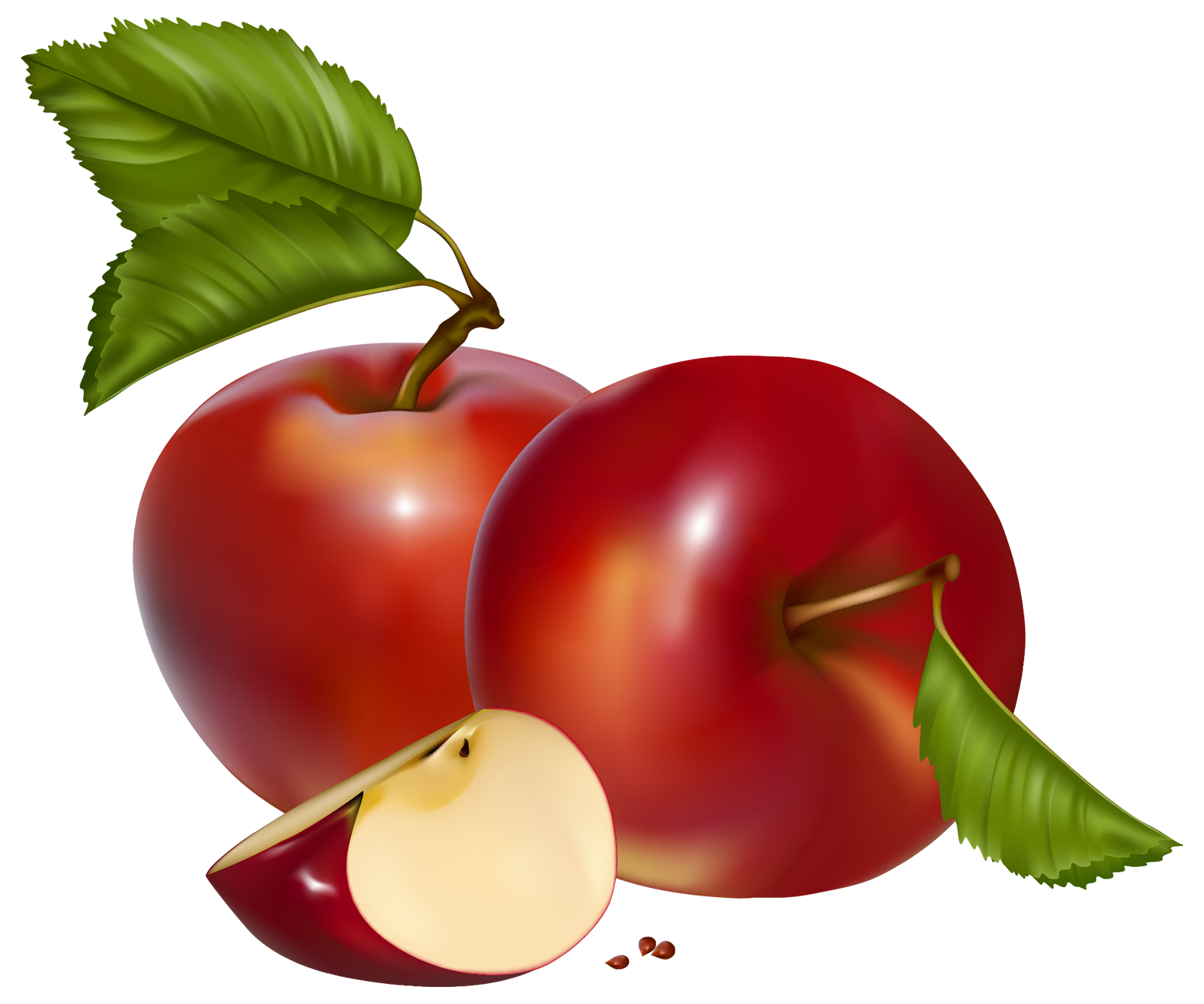 Rose Apple Clipart  Free download on ClipArtMag