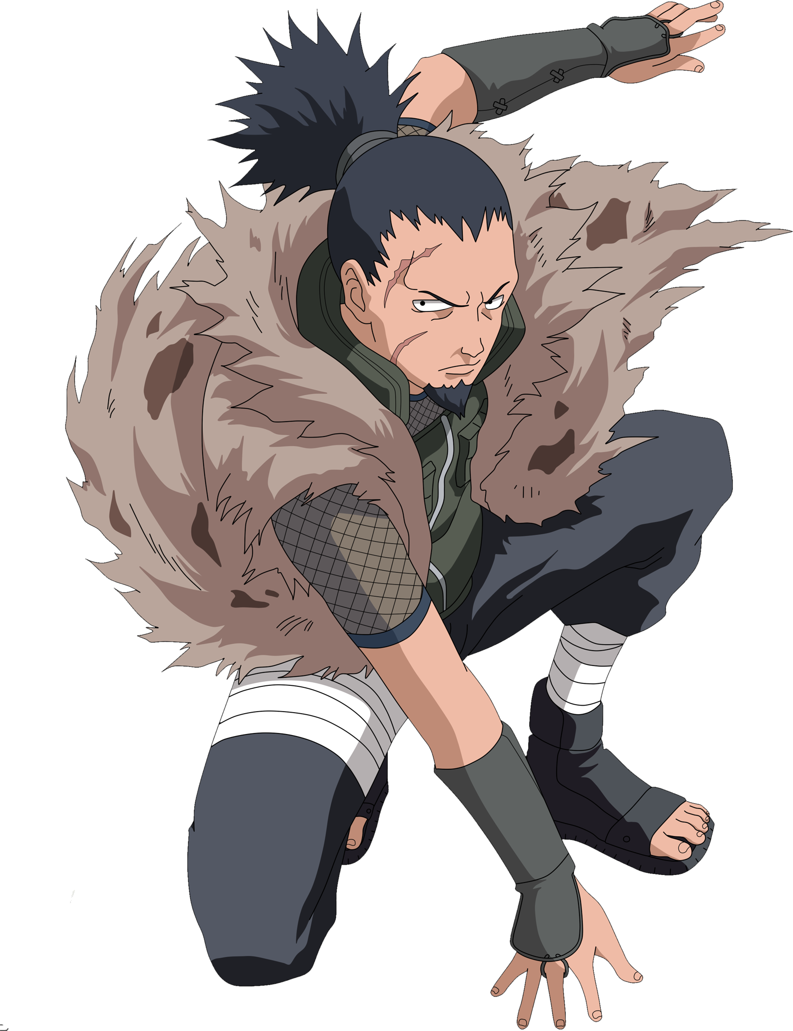 Nara shikaku