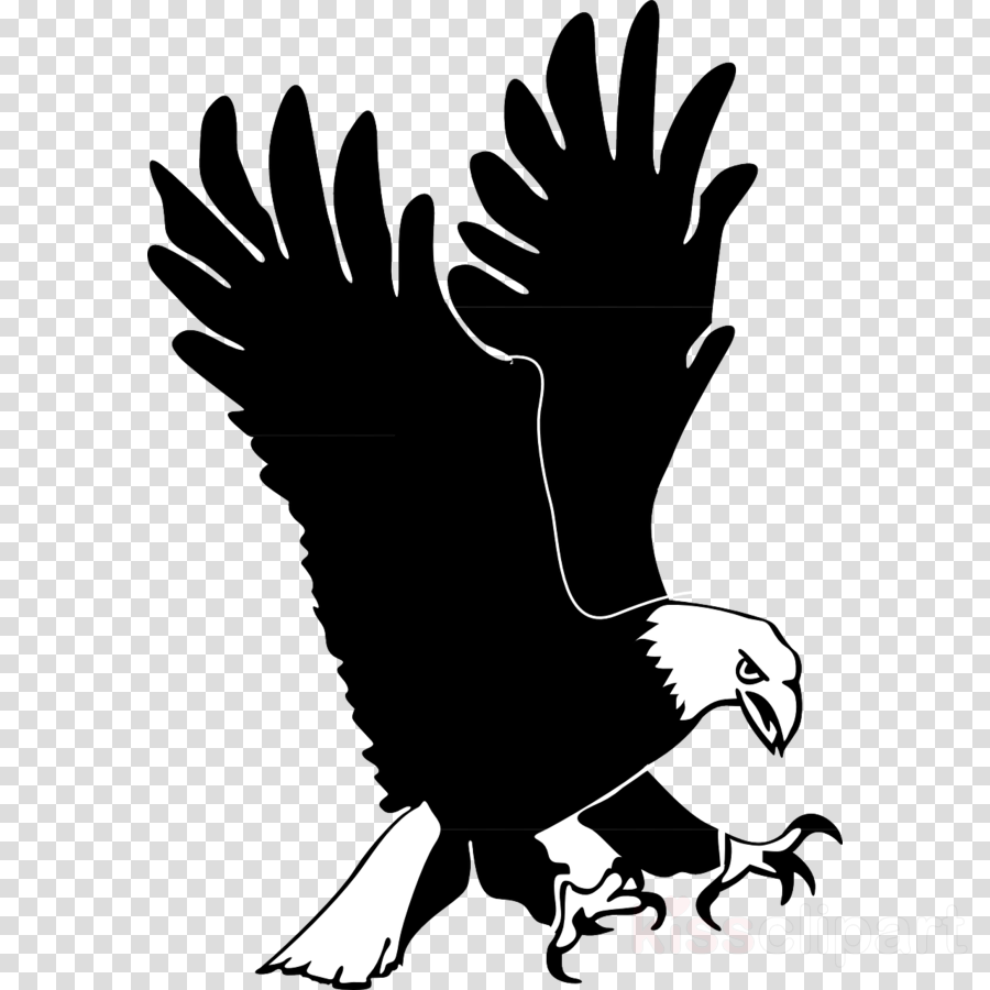 Free Eagle Cliparts Background Download Free Clip Art