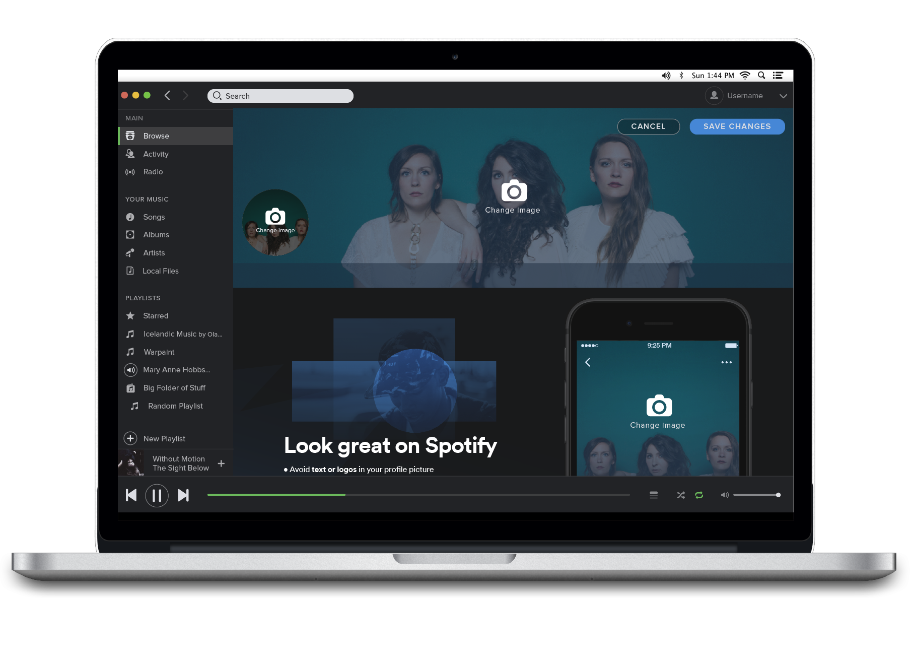 Independent artists can now change Spotify Artist Profile ... - Spotify Artist