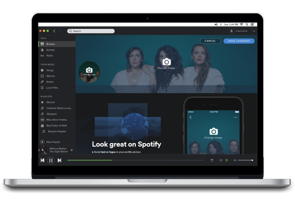 Independent artists can now change Spotify Artist Profile