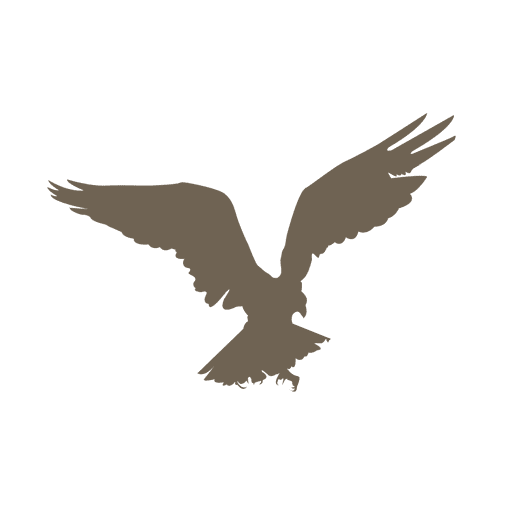 Flying eagle silhouette  Transparent PNG  SVG vector file